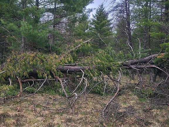 5th image of 3856 Old State Rd