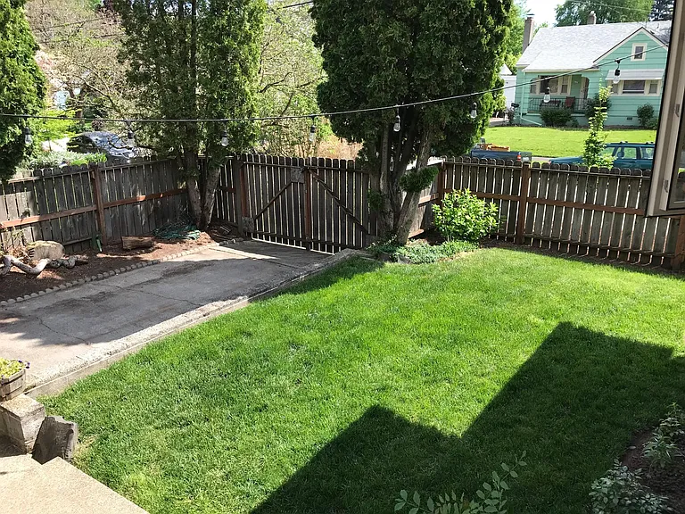 fenced back yard