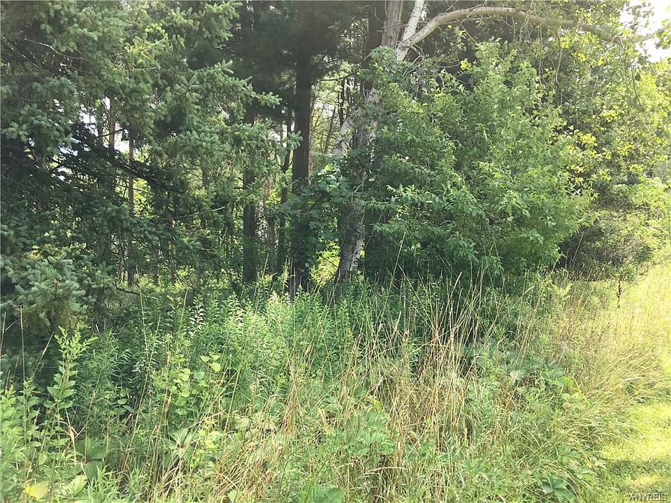 2nd image of 781 Quaker Rd