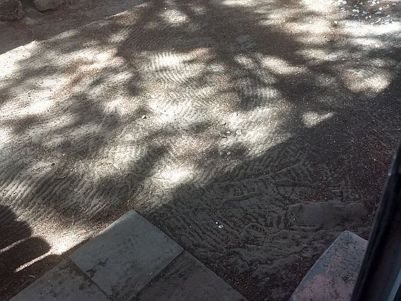 4th image of 825 S Telshor Blvd #57