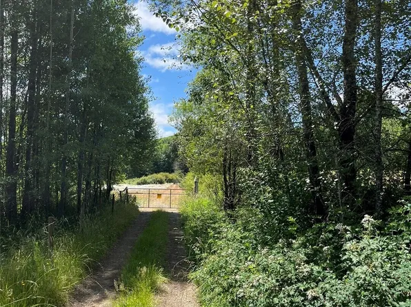 0 Cougar Smith Road, Montesano, WA 98563