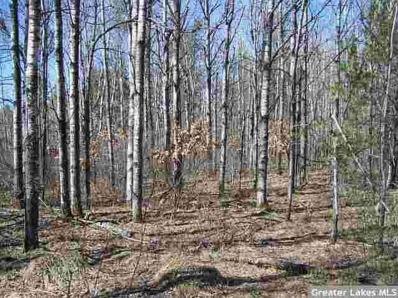 4th image of 27294 Far North Dr