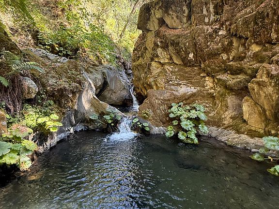 4th image of Blue Canyon Road