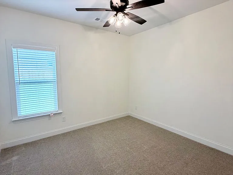 424 Cannon Point Dr — Photo 11