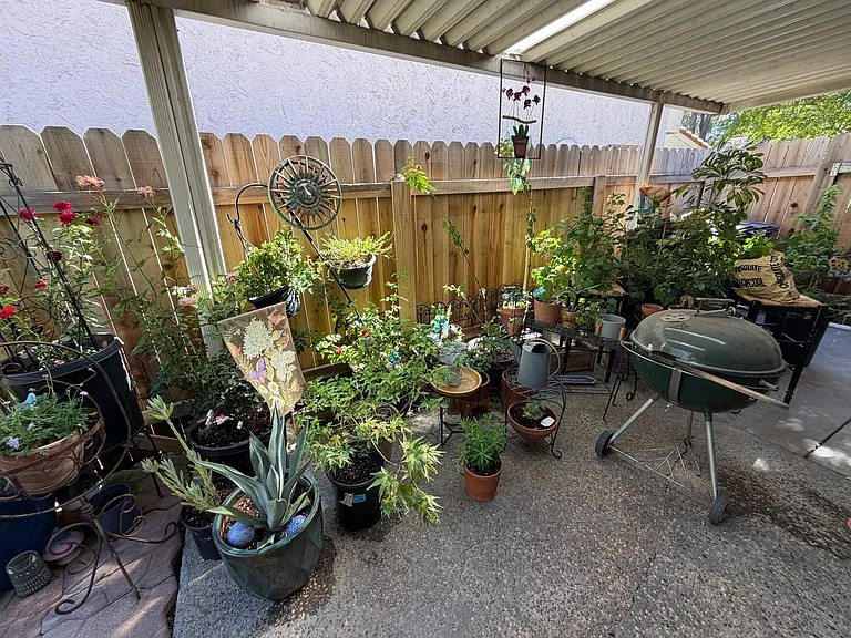 7329 Villa Del Sol Ln — Photo 25