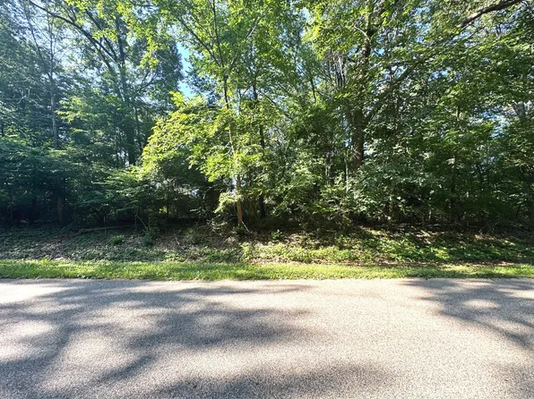 LOT 90 Lake Thunderbird Dr Lot 90, Putnam, IL 61560