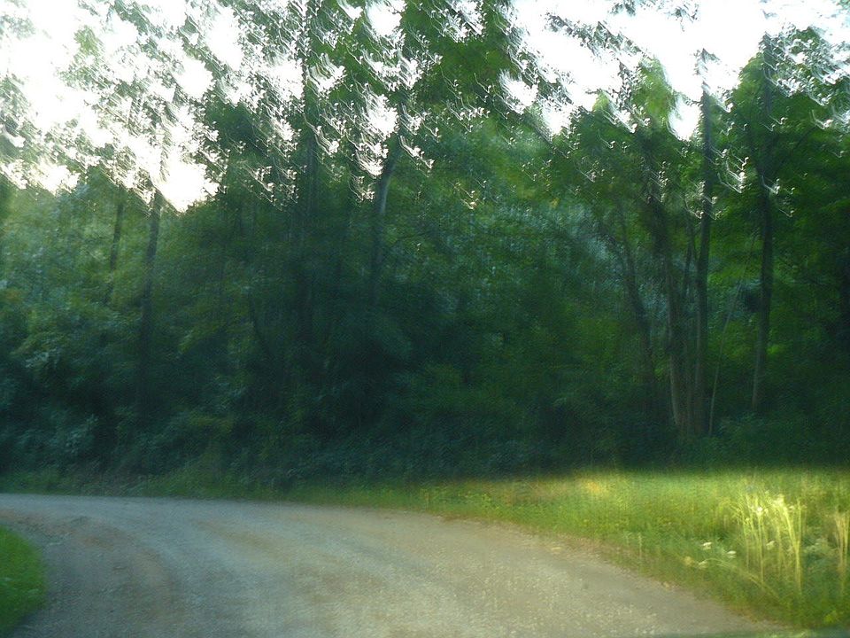 2nd image of Daniel Hollow Rd