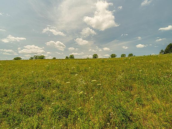 3rd image of Cadiz Springs Rd