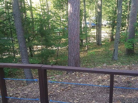 5th image of 5916 Cedar Shores Dr