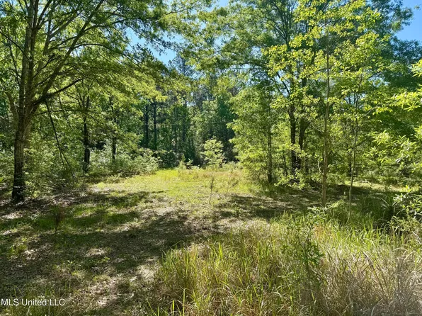 18161 Hudson Ln #30, Saucier, MS 39574