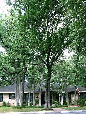1st image of 1809 Post Oak Dr