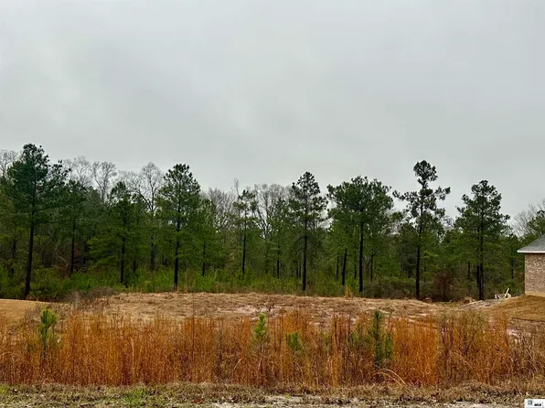 LOT 2 Mount Harmony Church Rd, Ruston, LA 71270