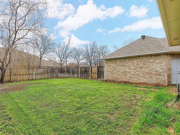 024_BackYard.jpg
