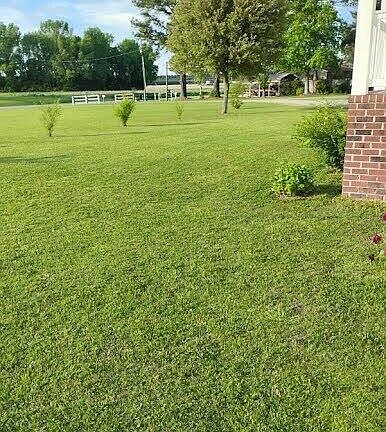 5th image of 407 Zion Road