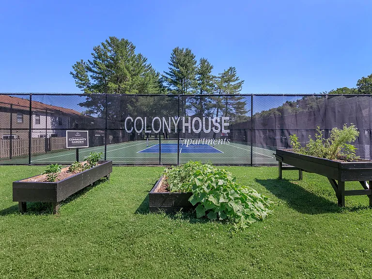 Colony House — Photo 15