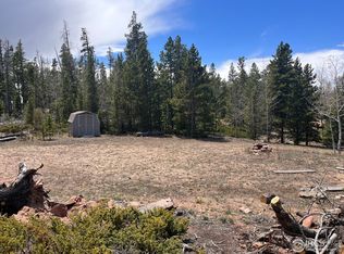 95 Scioto Ct, Red Feather Lakes, CO 80545