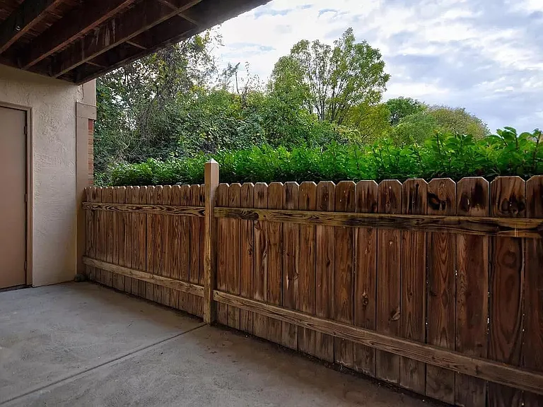 2245 Hedgerow Rd #D — Photo 4