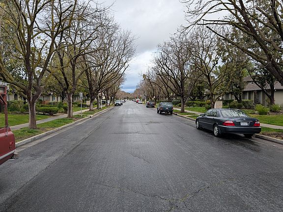 Quiet, tree lined street