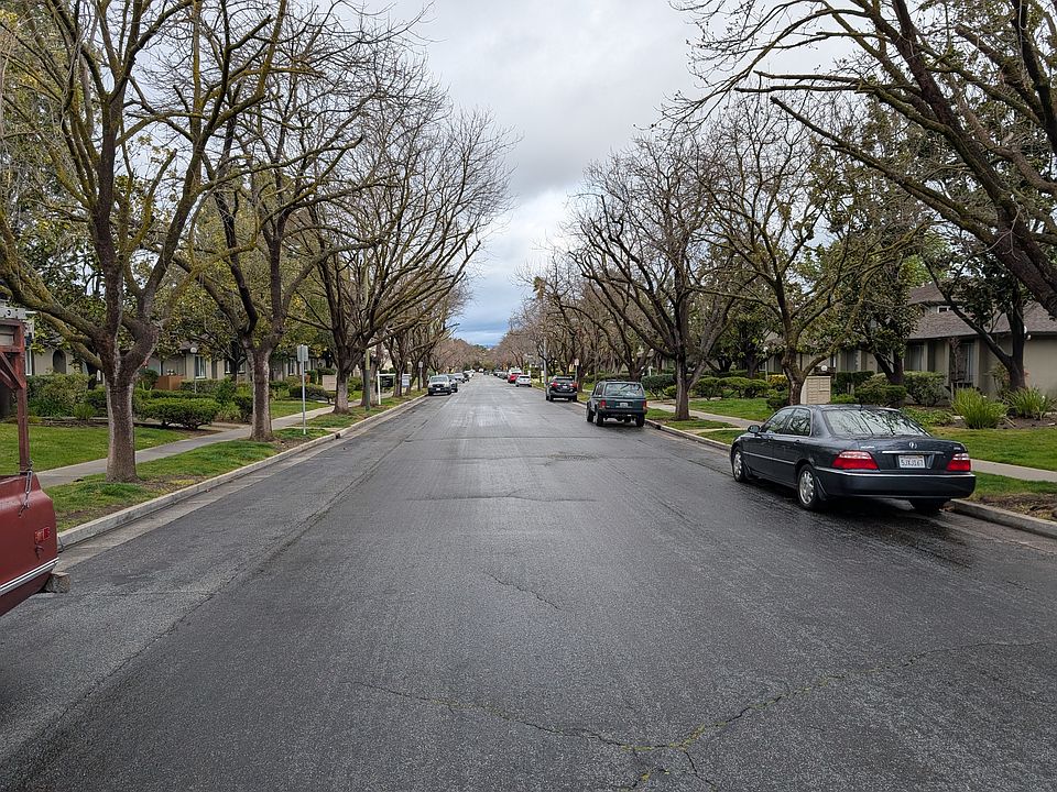 Quiet, tree lined street