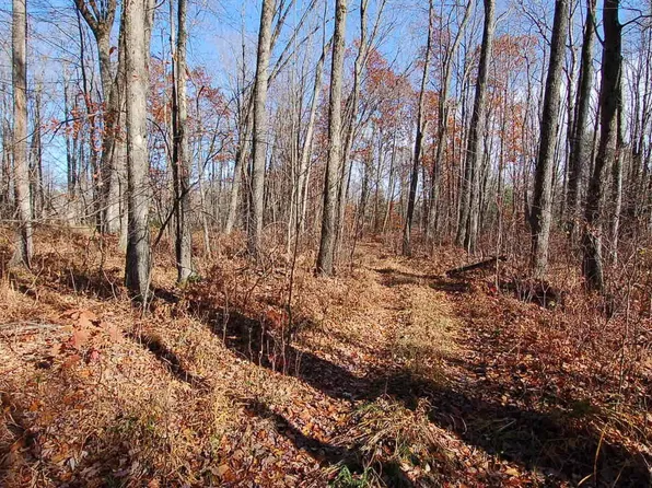 5401 S Jeffs Rd, Falmouth, MI 49632