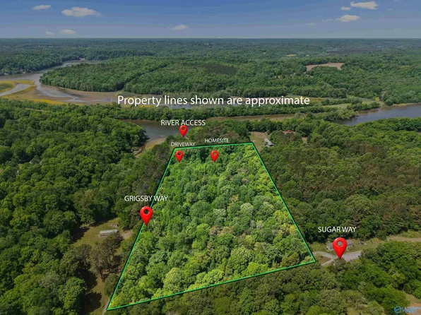 12105 Grigsby Ferry Rd, Elkmont, AL 35620