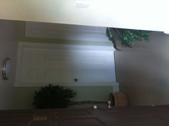 3rd image of 4300 Gulfstream Dr APT 1B