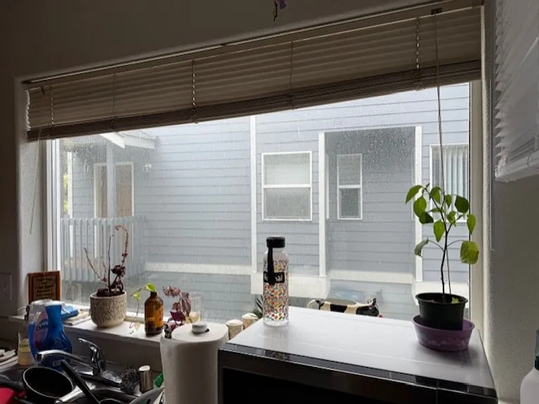 809 Blueberry Ln #811 — Photo 14
