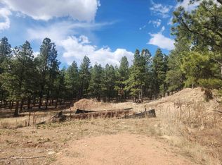 80 Alta Rd, Angel Fire, NM 87710