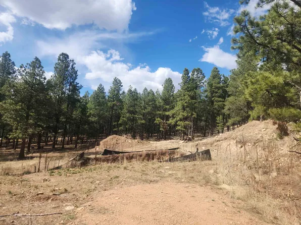 80 Alta Rd, Angel Fire, NM 87710