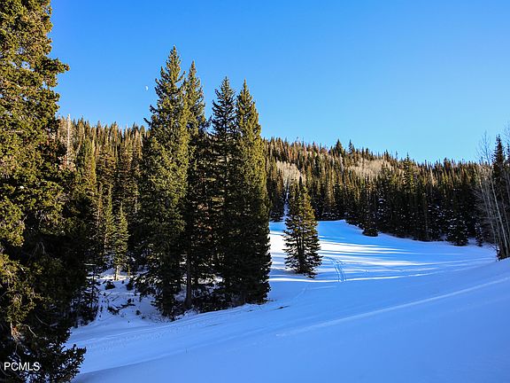 4th image of 329 White Pine Canyon Rd