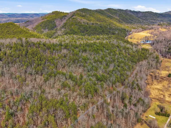 Steer Creek Rd, Tellico Plains, TN 37385