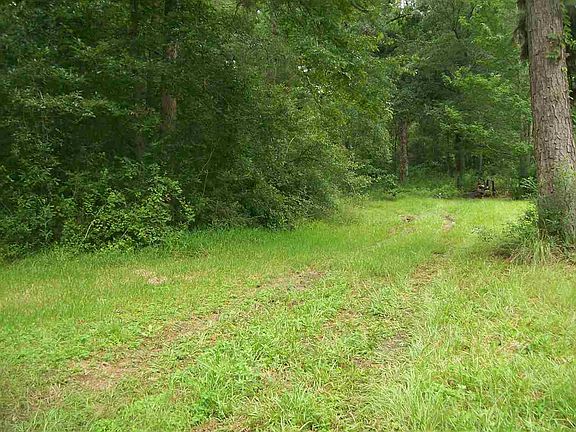 2nd image of 8635 County Road 451