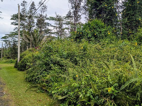 2nd image of Puna Rd Lot 583