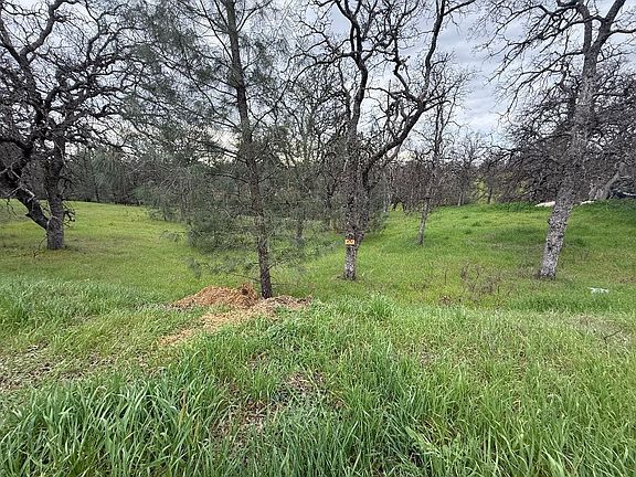 5th image of 17107 Muledeer Dr
