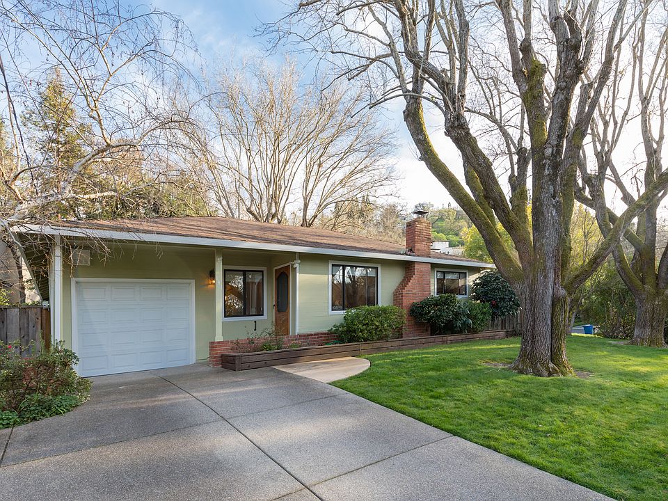 _1_141 Sequoia 01.jpg