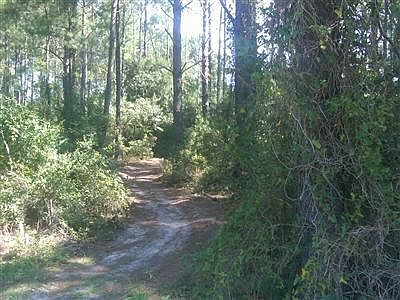 1st image of Mintz Cemetary LOT TR-9
