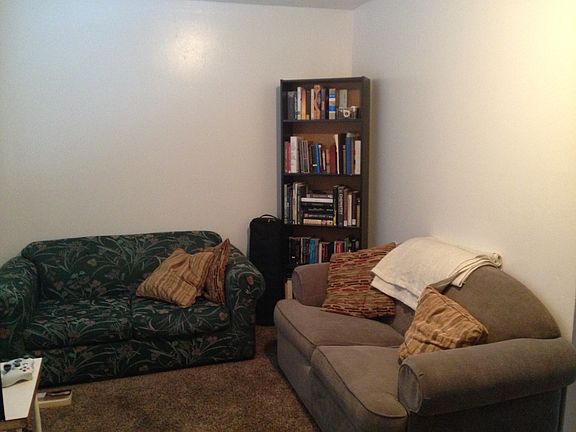 Living room (And two couches)