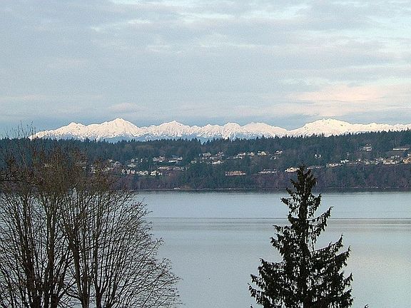 View of Olympic Mts