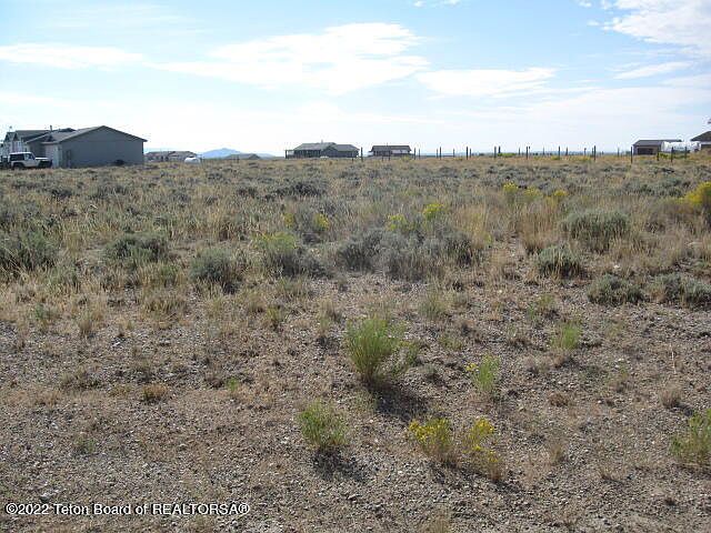 2nd image of Meadow Lark