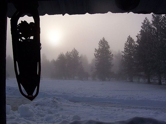 Back porch lookout
