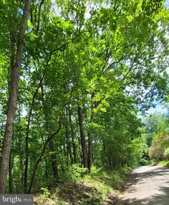 Settle School Rd, Rixeyville, VA, 22737
