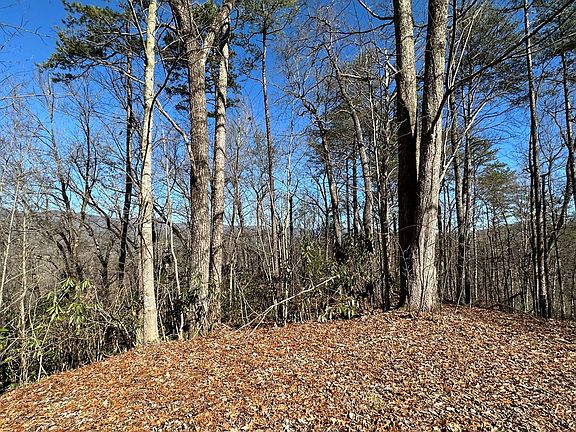 4th image of (Undisclosed Address)