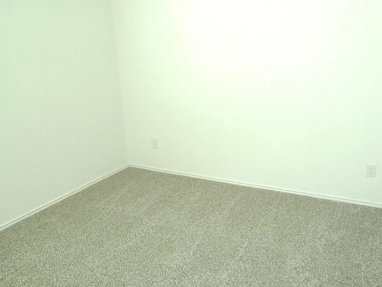 3063 Liams Tower Ln — Photo 22
