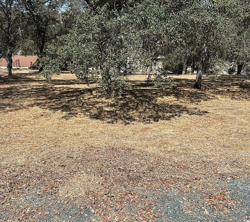 2nd image of 2194 Partridge Dr
