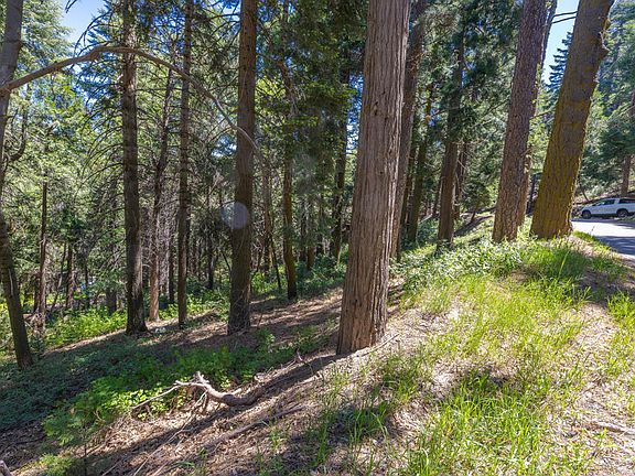 4th image of LOT 78 Cedar Pines Dr