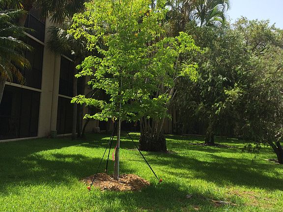 4th image of 8015 SW 107th Ave APT 214