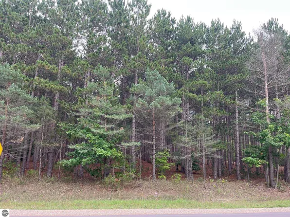0 Copemish Rd, Thompsonville, MI 49683