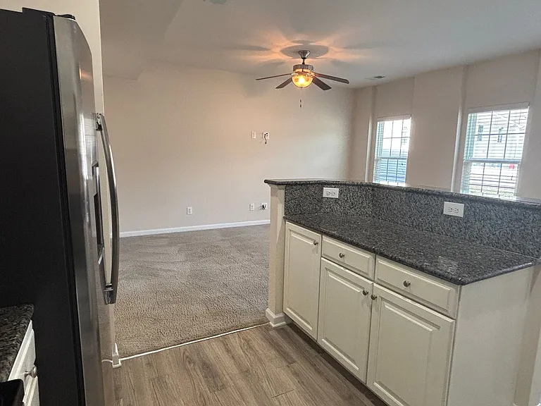 7411 Red Mulberry Way — Photo 9