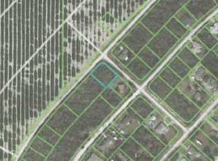 128 Strasse Rd, Lake Placid, FL 33852