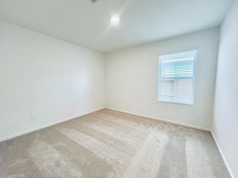 1379 Diamond Carnation Dr — Photo 7